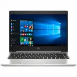 Купить Ноутбук HP ProBook 445 G7 Silver (7RX18AV_V2)