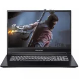 Купить Ноутбук Dream Machines G1650-17UA76